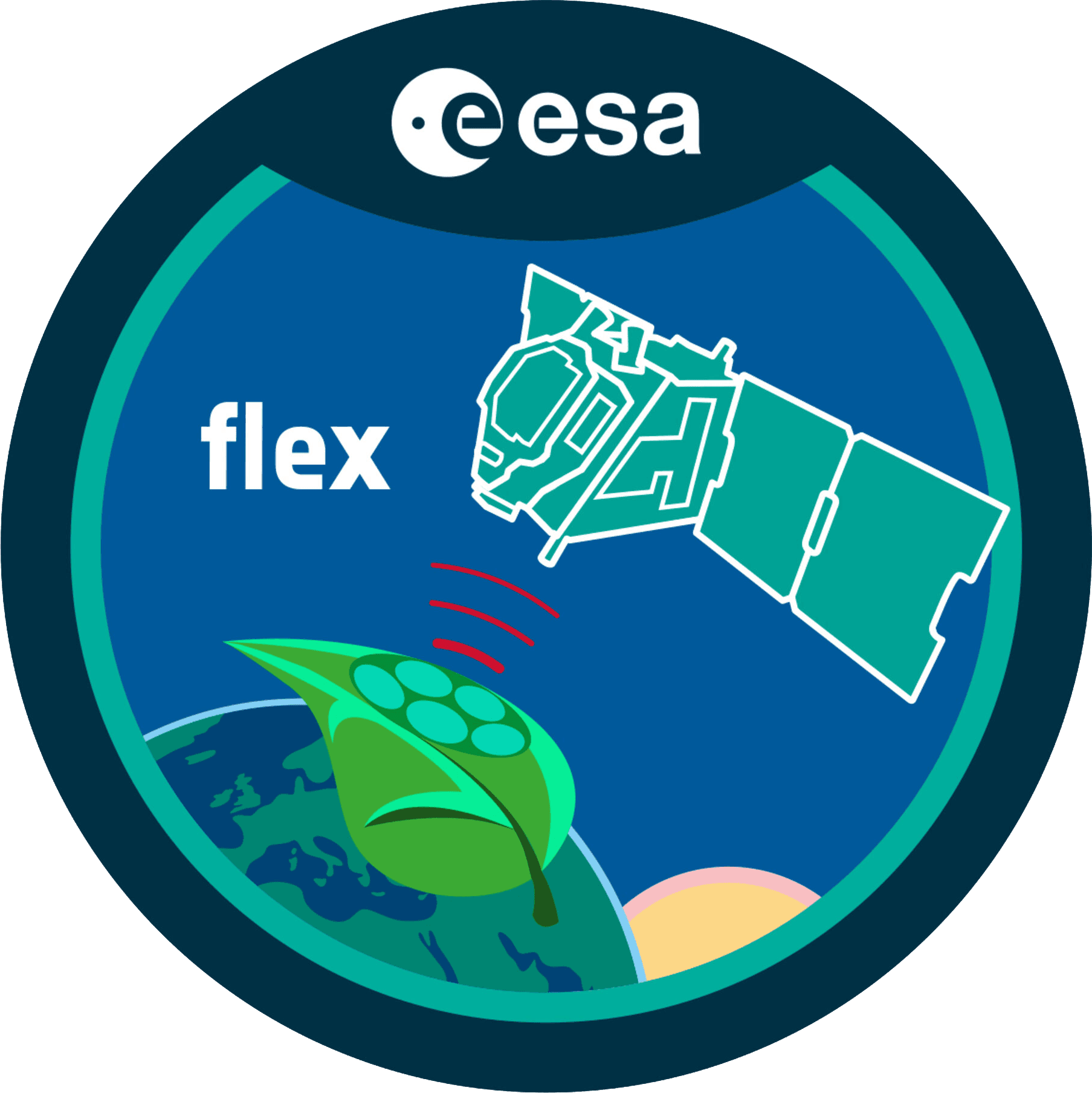 Mission patch for Sentinel-3C & FLEX.